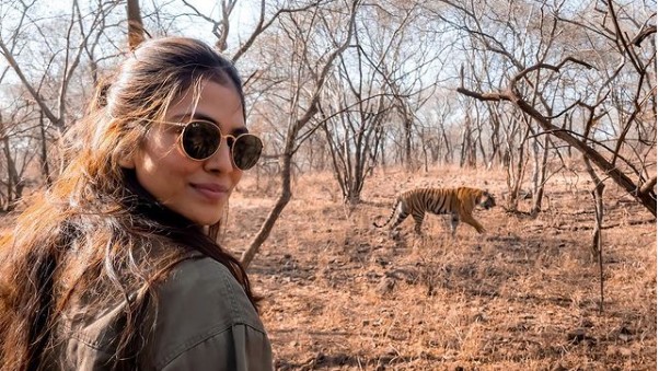 Malavika-Mohanan-and-the-Ranthambore-National-Park-tigers